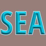 Group logo of CitySports Seattle/PNW